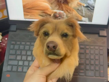 What Makes the Best Hand Painted Pet Portraits? (Expert Tips)