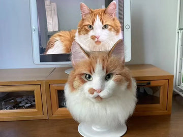 6 Best Gifts for the Pet Lover