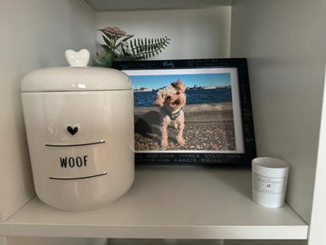 The Hidden Truth of Pet Cremation in North America