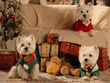 Top 10 Stuffed Animals for Christmas Gifts that All Ages Will Love