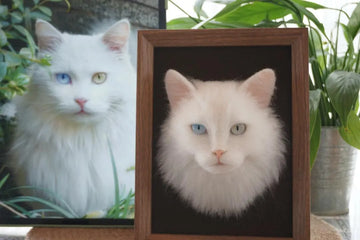 How to Get a Stuffed Animal of Your Pet: The Complete Custom Plush Guide