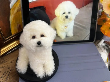 Which Custom Dog Portrait Style Fits Your Pup? Explore the 5 Most Stunning Options