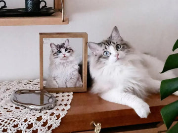 Celebrate Your Pet with Custom Hand-Painted Oil Portraits