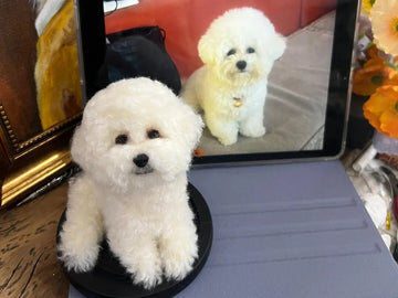 How Do You Get a Pet Animal Stuffed?