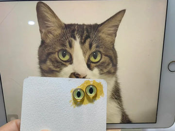 How to Make Realistic Pet Eyes for Wool Felt Replicas