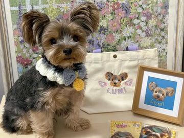 Hand-Embroidered Pet Apparel: Custom Sweatshirts, Hats & Gifts