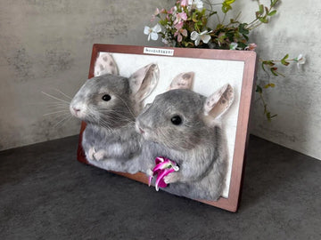 How a Custom Cat Plush Helped Me Say Goodbye