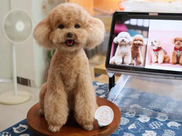 Custom Pet Plush: How Handmade Replicas Preserve Our Companionship