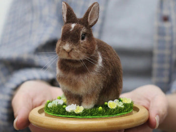 The Fascinating World of Personalized Stuffed Animals