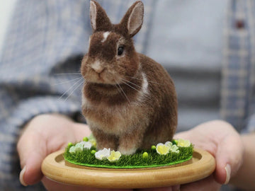 How to Display and Care for Your 3D Pet Portrait at Home