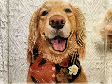 3D Oil Painted Pet Portrait on Glass – A Unique Tribute to Your Pet
