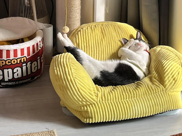 The Art of Choosing a Meaningful Pet-Themed Gift