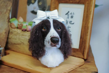 How to Clone Your Pet as a Plush Keepsake