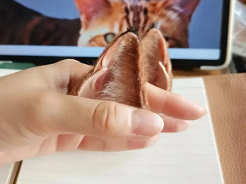 How to Sculpt Polymer Clay Cat Ears with Wool Needle Felting