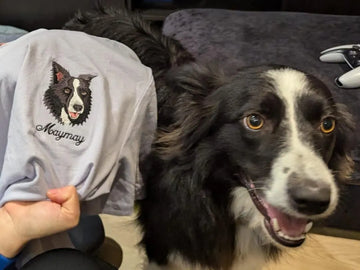 Embroidered Pet Apparel: Stories Behind Custom Pet Clothing