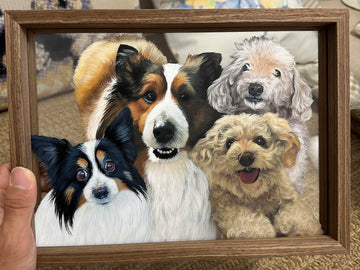 Did My Pet Leave to Protect Me From Disaster?