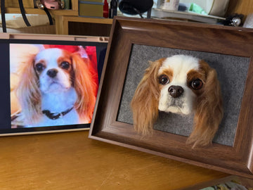 How Much Does a Pet Felt Portrait Cost? 