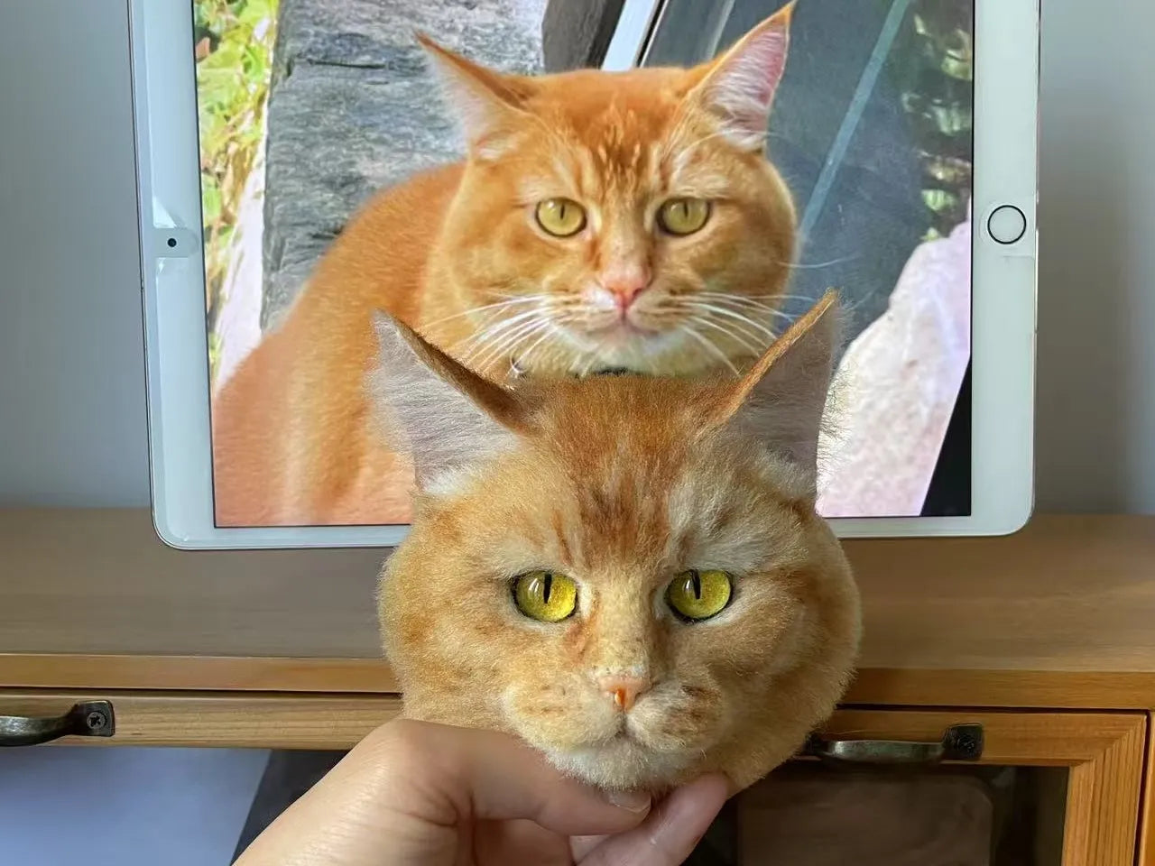 7 Best Online Platforms for Custom Cat Portraits