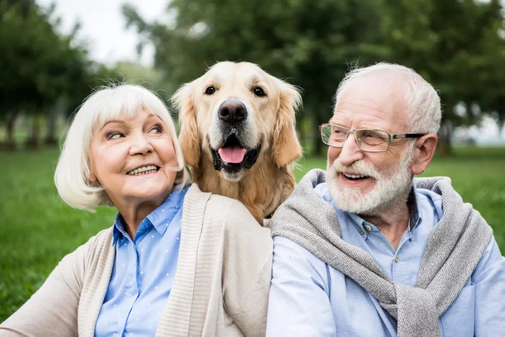 How Pets Shape Our Emotional Growth from Childhood to Adulthood