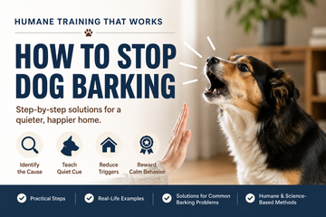 How to Stop Dog Barking