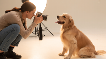 How Much Should I Charge for a Pet Photoshoot?