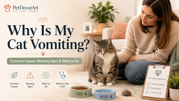 Why Is My Cat Vomiting