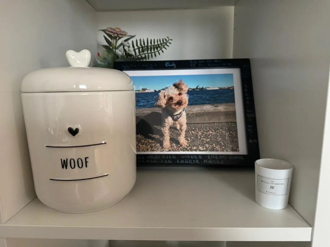 The Hidden Truth of Pet Cremation in North America