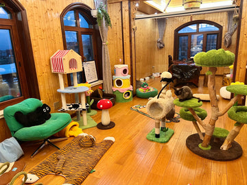 Designing Pet-Inspired Interiors: Subtle Ways to Include Them in Your Home