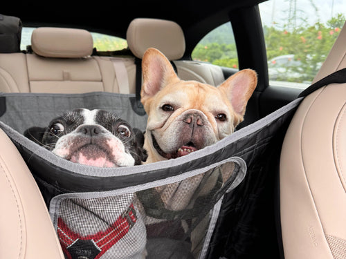 Stress-Free Road Trips with Pets: Packing Checklist & Safety Guide 2025