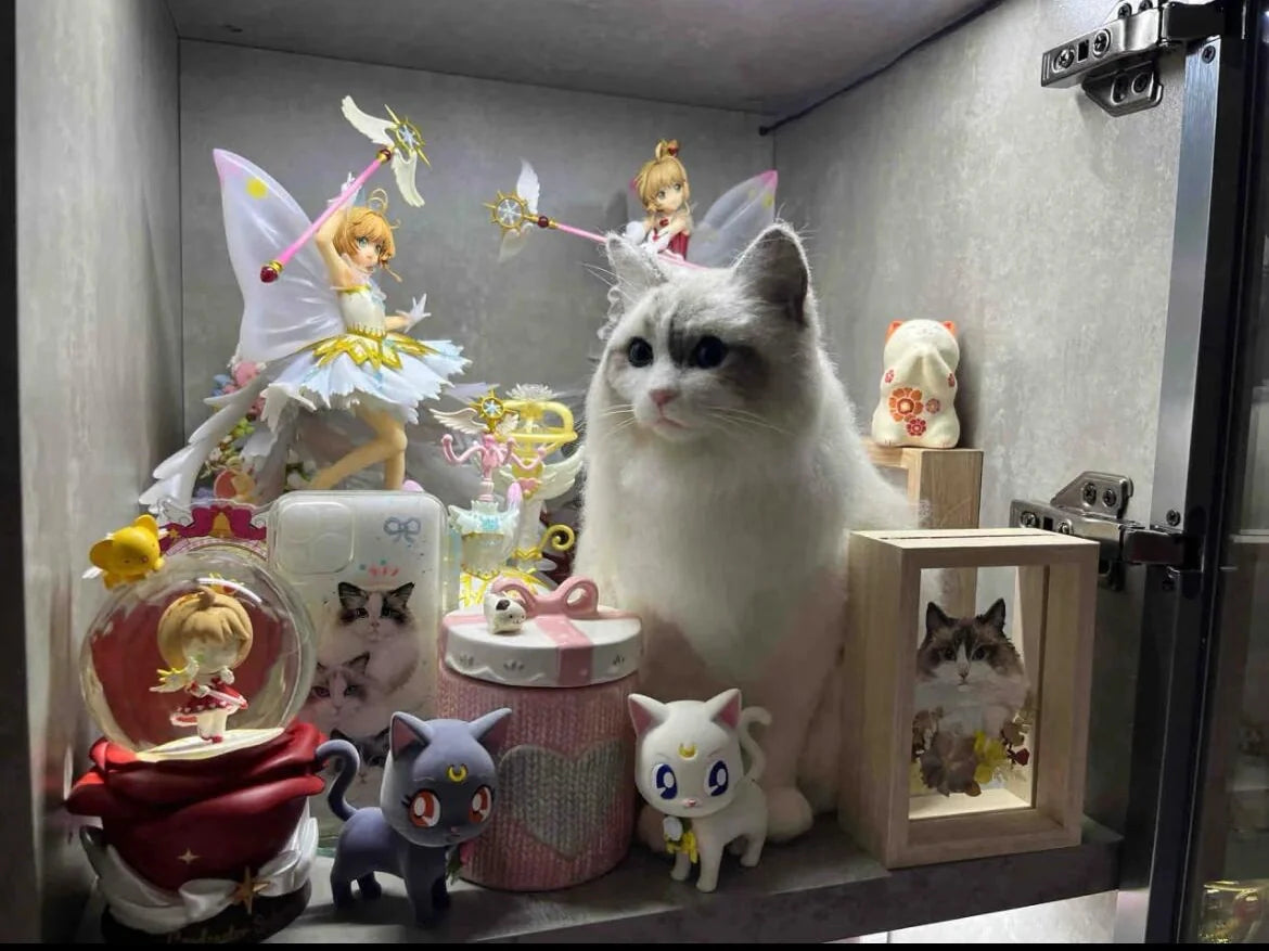 Turning Memories into Art: Creative Ways to Celebrate Your Pet