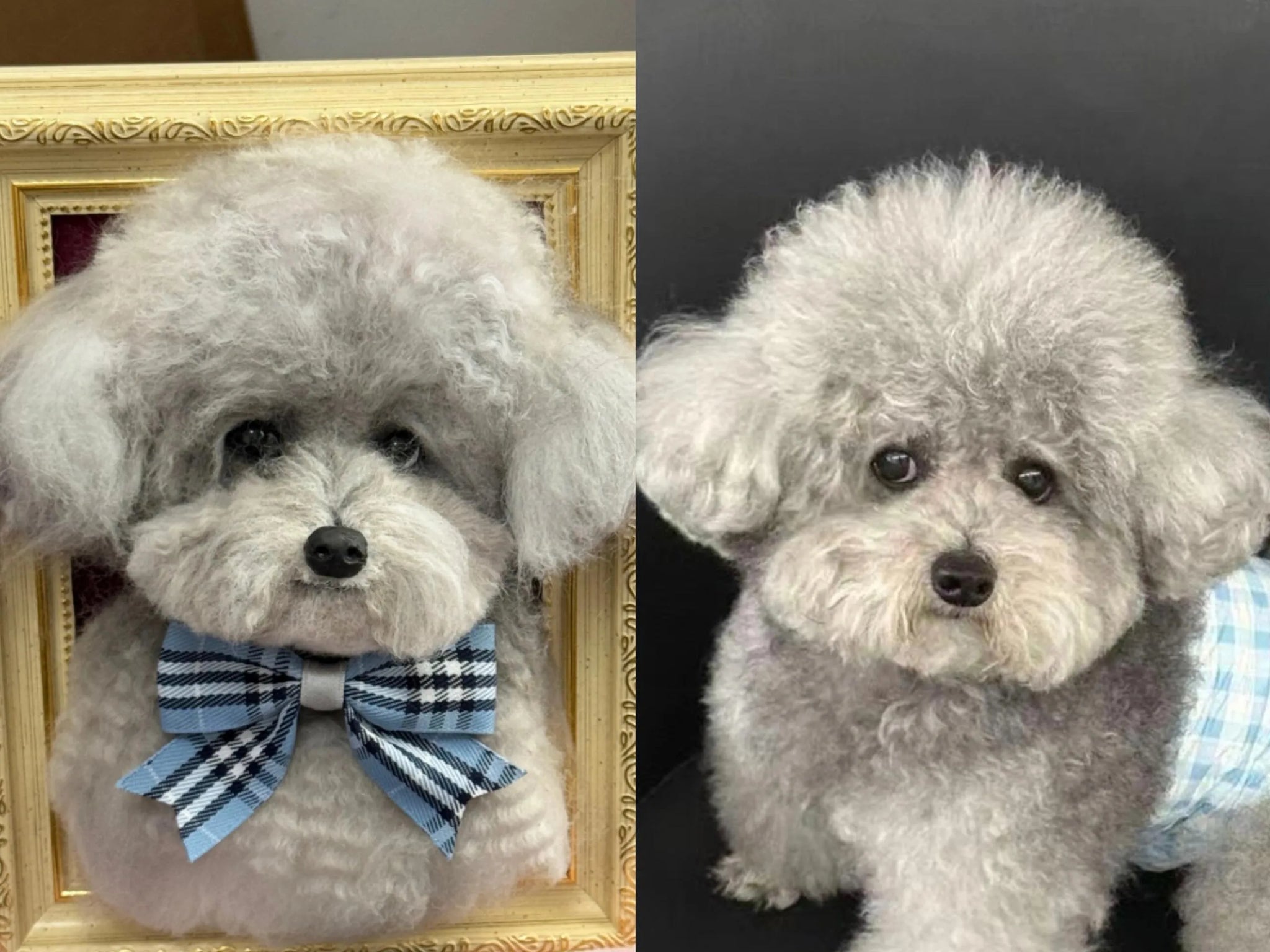 Sympathy Card for Pet Dog: A Gentle Way to Show You Care