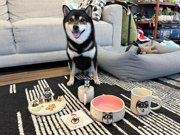 Unique Anniversary Gifts for Pet Owners — Personalized & Meaningful