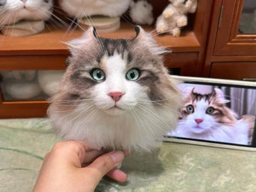 Why Pet Plush Replicas Are the Perfect Way to Celebrate Your Pet