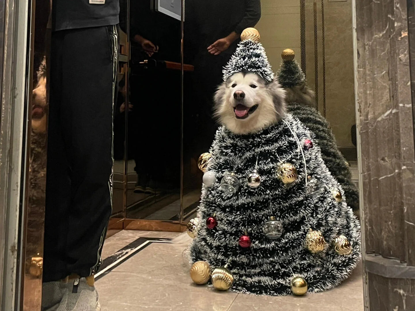 10+ Handcrafted & Customized Christmas Presents for Pet Lovers in 2025