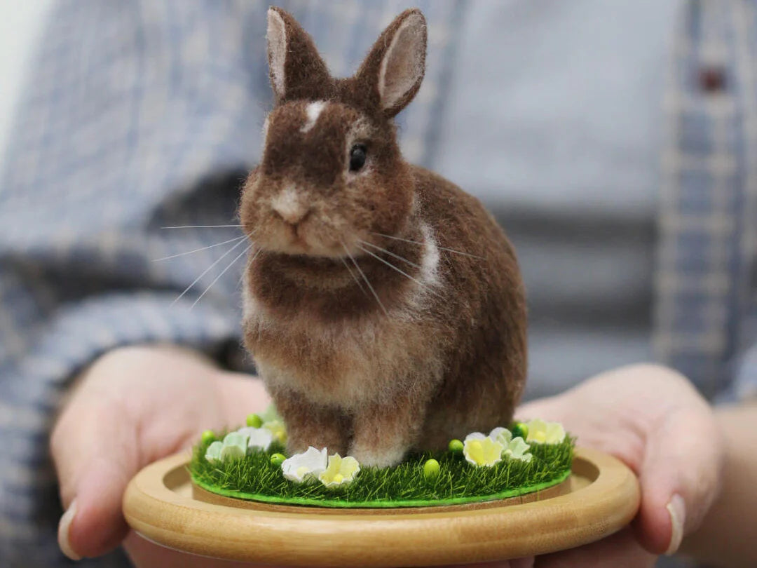 The Fascinating World of Personalized Stuffed Animals