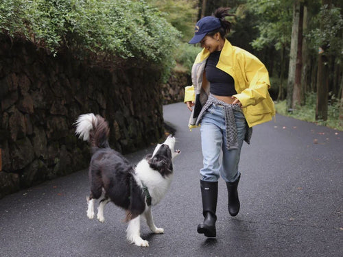 The Psychology of Gift-Giving: Why Personalized Pet Gifts Feel More Intimate