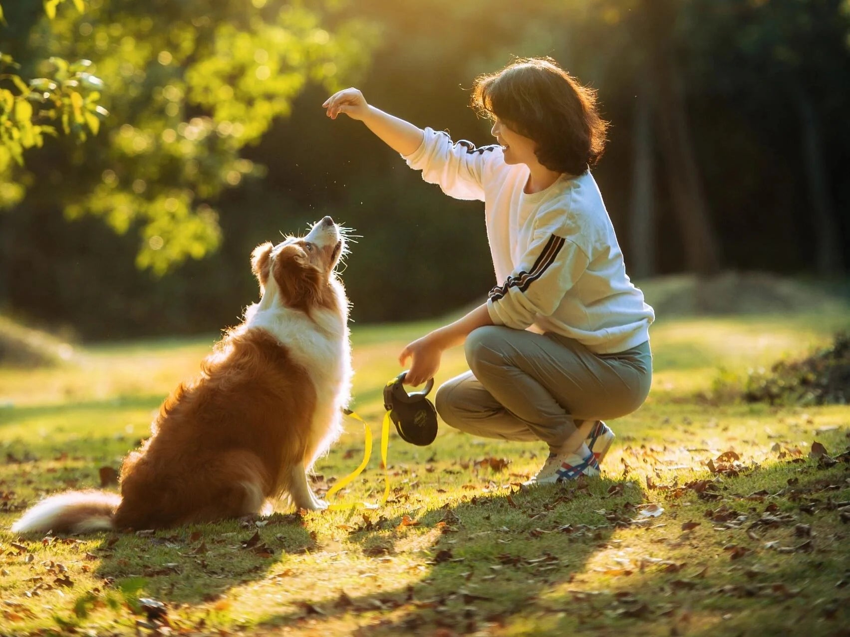 Quotes for the Recent Loss of Your Dog: Finding Solace in the First Days