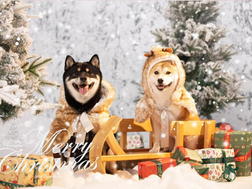 Stuck on a Gift? 10+ Unique Christmas Ideas for Animal Lovers