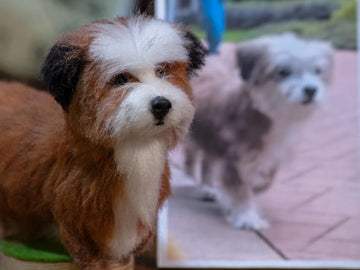From Birthdays to Christmas: Why Pet-Inspired Gifts Are Rising