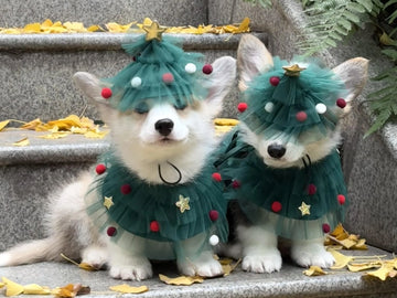Why Pet Portraits Make the Perfect Christmas Gift for Pet Lovers