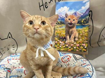 If Pets Could Talk: Their Thoughts on Custom Portraits