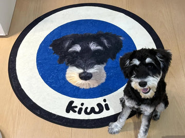 How to Choose the Right Gift for Someone Who Lost a Pet