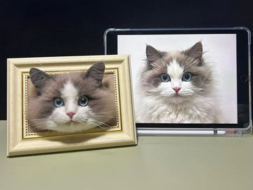 Custom Stuffed Animals That Look Like Your Pet