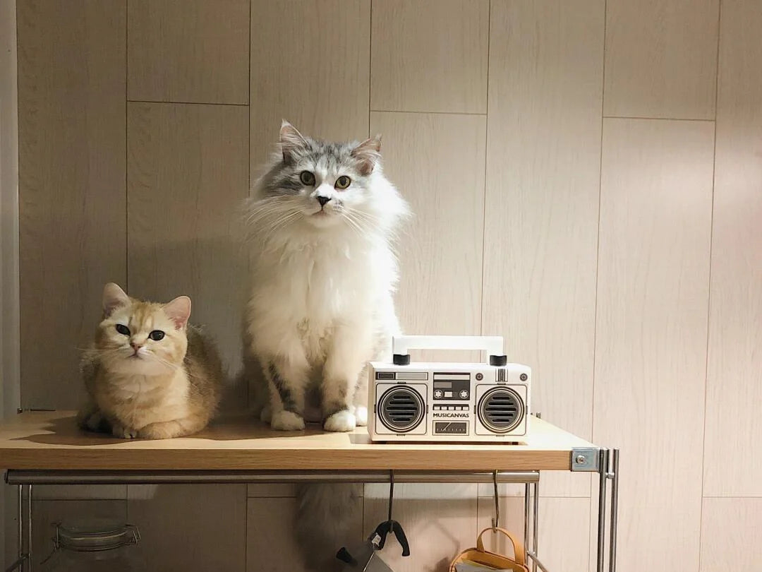 Simulation clone wool felt cat