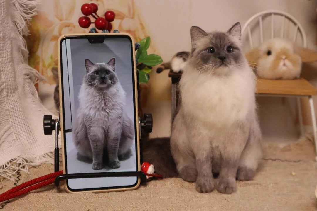 How to Transform Pet Photos into Stunning Portraits
