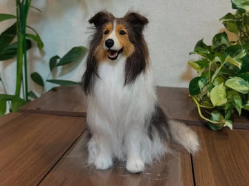 How Much Does It Cost to Clone Your Pet?