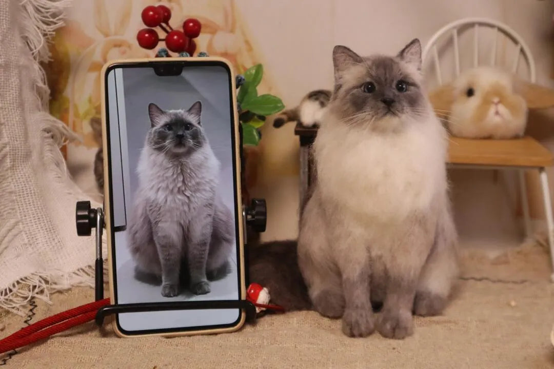 Why More People Are Getting Stuffed Animal Replicas of Their Pets – And It's Not Just About Cuteness