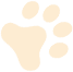 Cat's Paw Icon Yellow