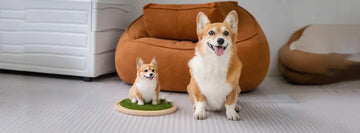 Corgi and full-body cloned corgi wool felt portraits