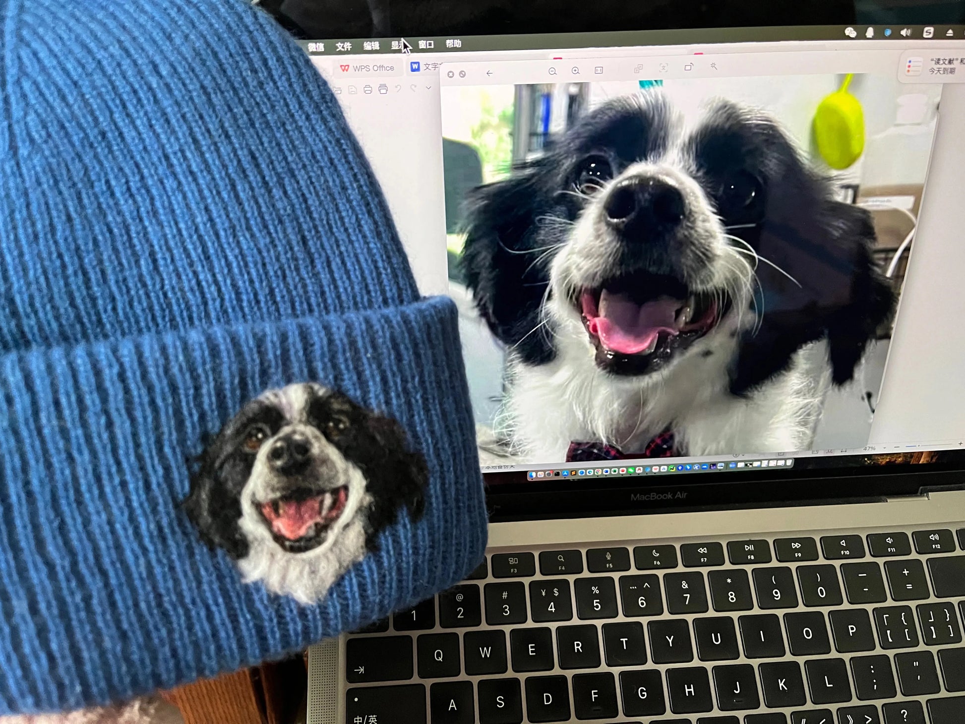 Custom 2D Wool Needle Felt Embroidered Pet Portraits Beanie | PetDecorArt